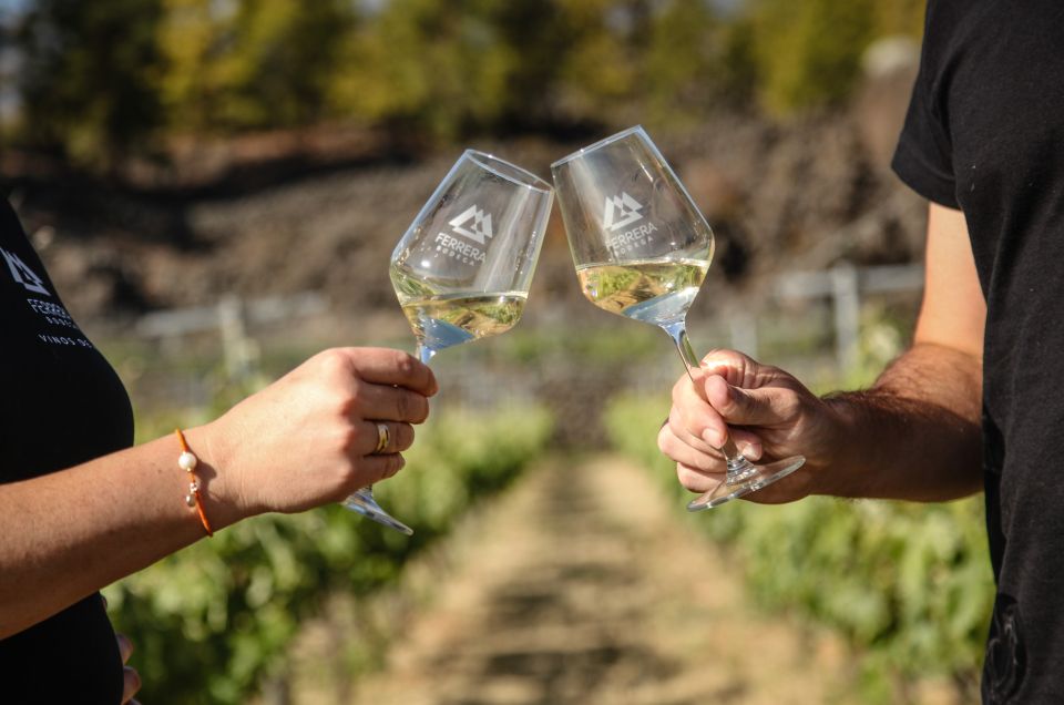 Tenerife: Tour of an Organic Vineyard With Tasting & Snacks - Inclusions