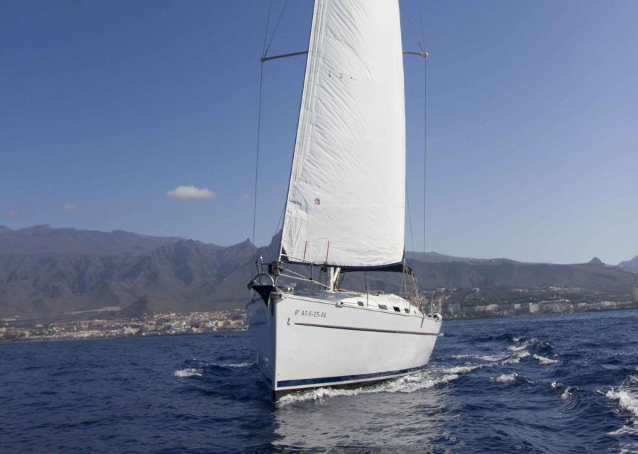 Tenerife: Whale and Dolphin Watching Tour by Sailboat - Included Amenities