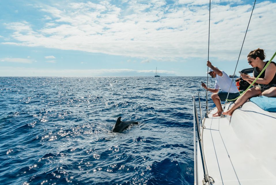 Tenerife: Whale & Dolphin Watching With Drinks and Snacks - Inclusions and Amenities