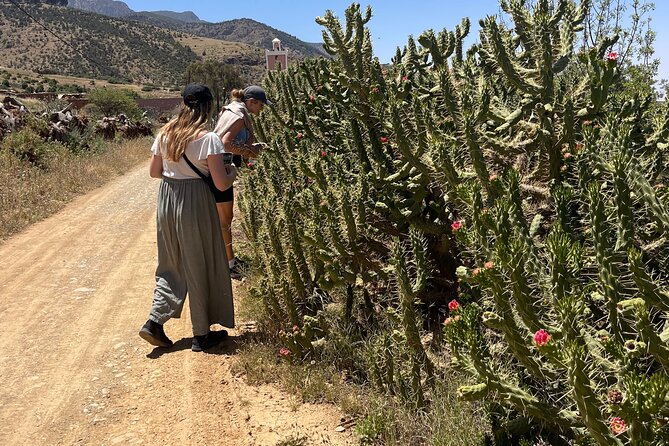 Terre D'Atlas Pottery and Nature Course in Amizmiz - Scenic Village Walk