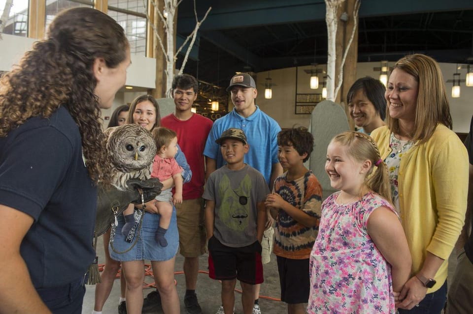 The Adirondacks: The Wild Center Admission Ticket - Exploring The Wild Center