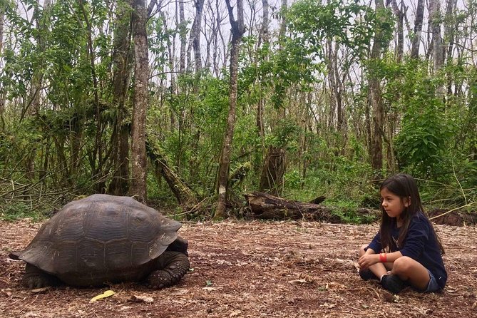 The Galapagos Giant Tortoise Experience | Los Gemelos | Shared - Transportation and Group Size