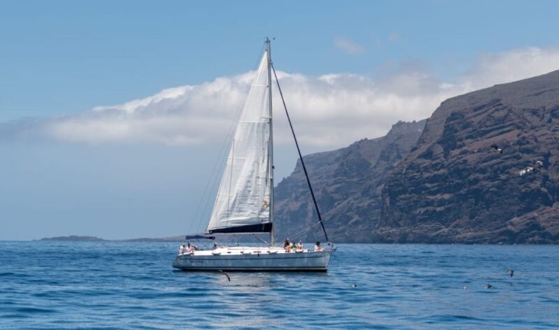 The Giants: Sailing Excursion With Swimming, Drink & Tapas - Inclusions and Requirements
