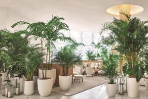 The Miami Beach EDITION - On-Site Dining Choices
