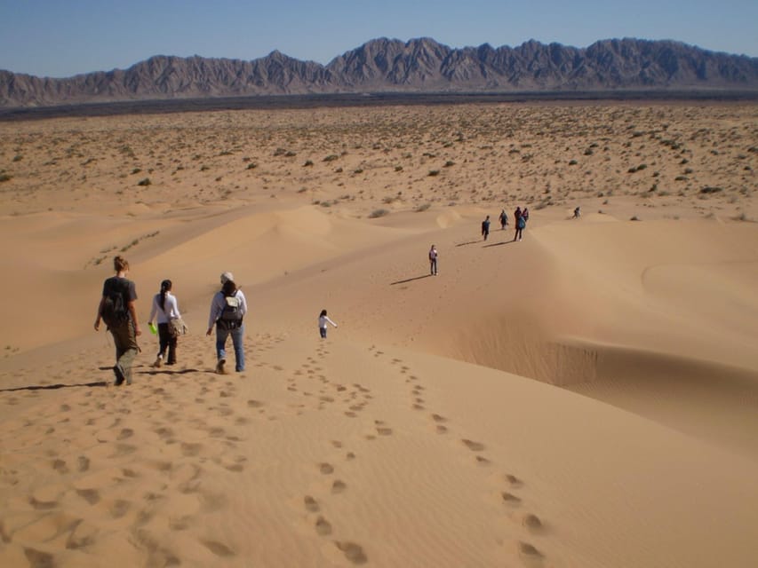 The Pinacate: 4-Day Tour of the Craters and Altar Desert - Inclusions and Amenities