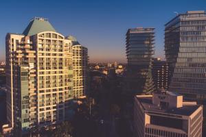 The Ritz-Carlton Coconut Grove, Miami - Amenities and Facilities