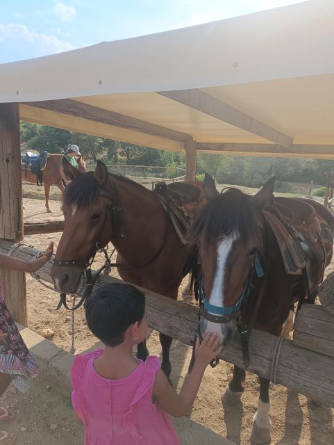 Thessaloniki:Horse Riding in a Farm - Farm Experience