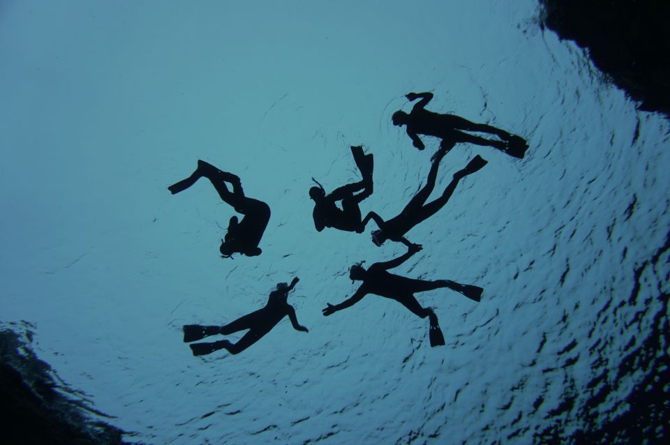 Thingvellir: Silfra Freedive Adevnture With a Guide - Meeting Point Details