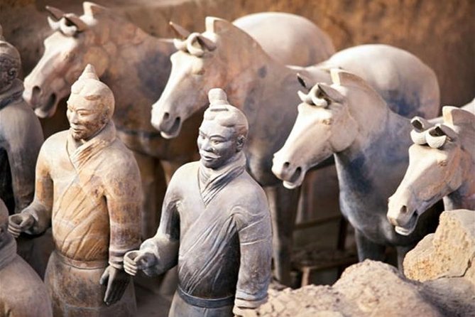 Three Day Xian Adventure Private Tour With Mt.Hua - Terracotta Warriors Experience