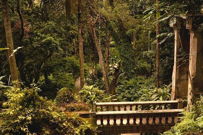 Tijuca National Park and Botanic Garden Guided Tour & Transfer - Inclusion and Pricing Information