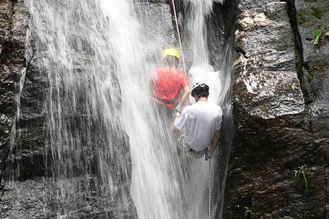 Tijuca National Park Hike and Waterfall Rappelling - Rappelling Down Horto Falls