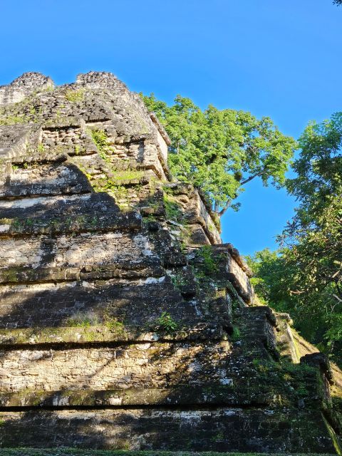 Tikal From Flores or Mundo Maya Airport - Tour Highlights and Experience