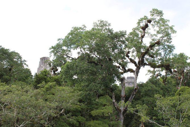 Tikal VIP Exclusive Full Day Tour From Belize Border - Wildlife Encounters