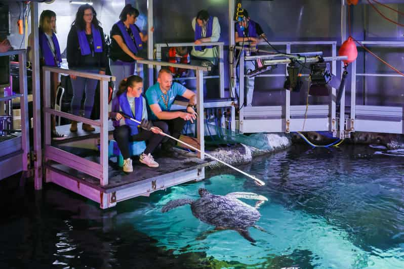 Timmendorfer Strand: SEA LIFE Behind the Scenes Tour - Experience Highlights