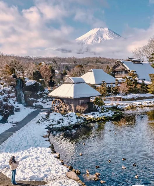 Tokyo 23wards-Fuji Day Tour: 10 Hours Private Car Use - Vehicle Options and Comfort