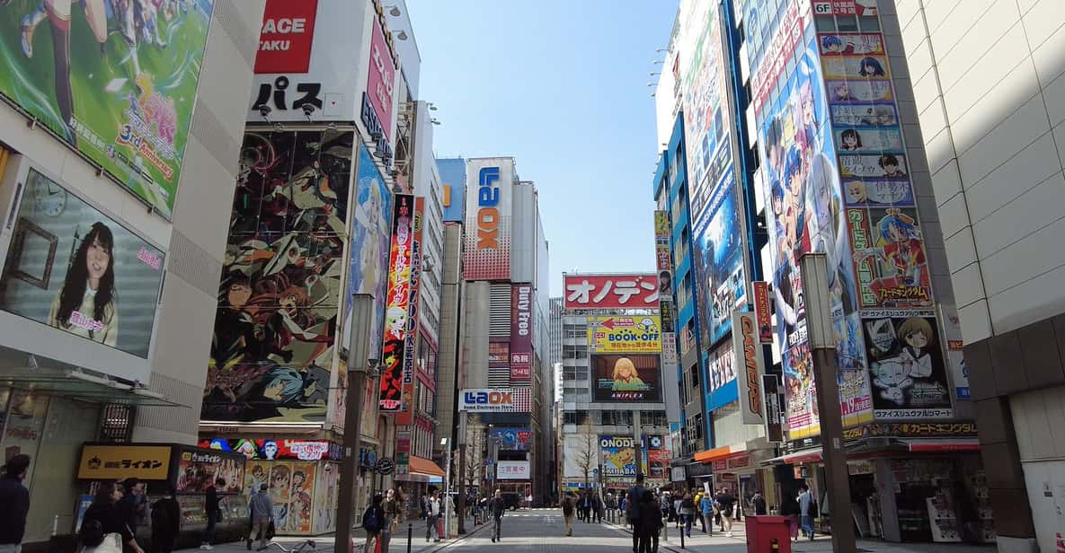 Tokyo Akihabara, Anime, Manga, Video Games & Maid Cafe Tour - Maid Cafe Experience