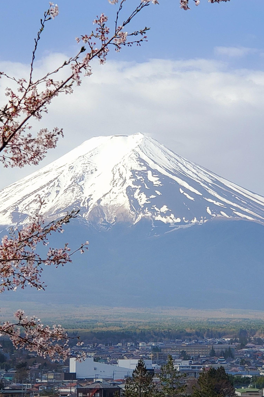 Tokyo and Mt. Fuji + Hakone 2-Days Private Tour - Day 2 Itinerary