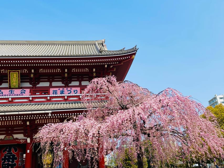 Tokyo: Asakusa Senso-ji Temple Private Walking Tour - Inclusions and Benefits