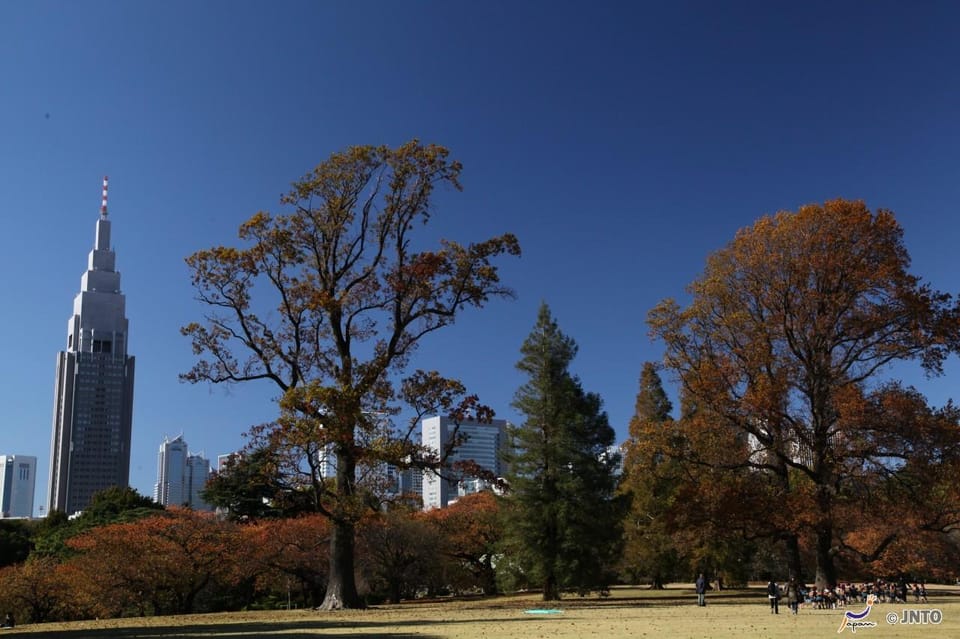 Tokyo City Half-Day Cruising: Door-to-Door Transfer Service - Transportation Options