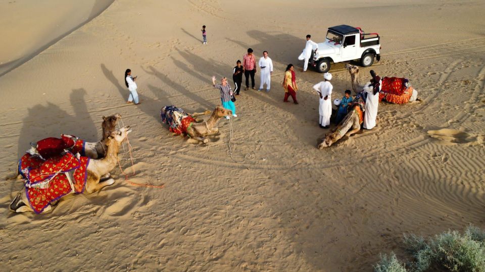 Tokyo Desert Safari Overnight Thar Desert Experience - Included Services