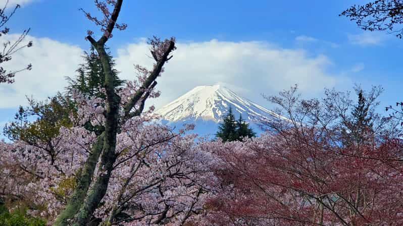 Tokyo, Mount Fuji and Hakone 3 Days Tour - Day 2: Exploring Mount Fuji