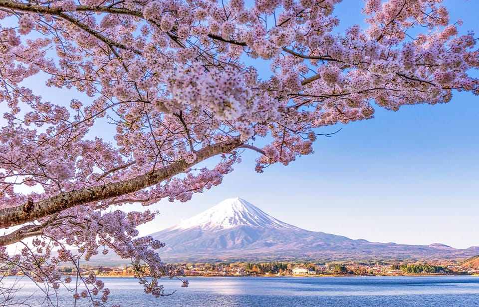 Tokyo: Mount Fuji, Kawaguchi Lake, Oshino Hakkai 1-Day Trip - Transportation Details