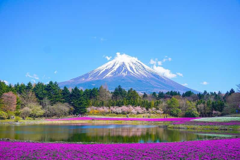 Tokyo: Mount Fuji or Hakone Customized Private Full-Day Trip - Key Stops Explained