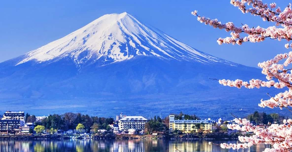 Tokyo: Mt.Fuji Kawaguchiko, Oshino Hakkai,Matcha-Making Tour - Cultural Activities