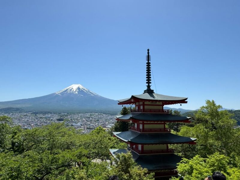 Tokyo: Mt. Fuji, Oshino Hakkai, Kawaguchiko Lake Day Trip - Accessibility Features