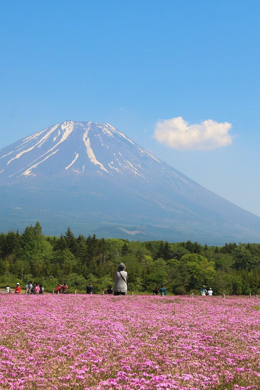 Tokyo: Mt.Fuji Private Tour With Pick & Drop Service - Key Attractions