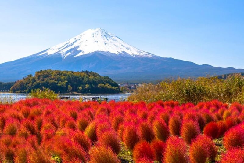 Tokyo: Mt Fuji Trip With Kawaguchiko Ropeway and Matcha Tea - Inclusions and Important Information