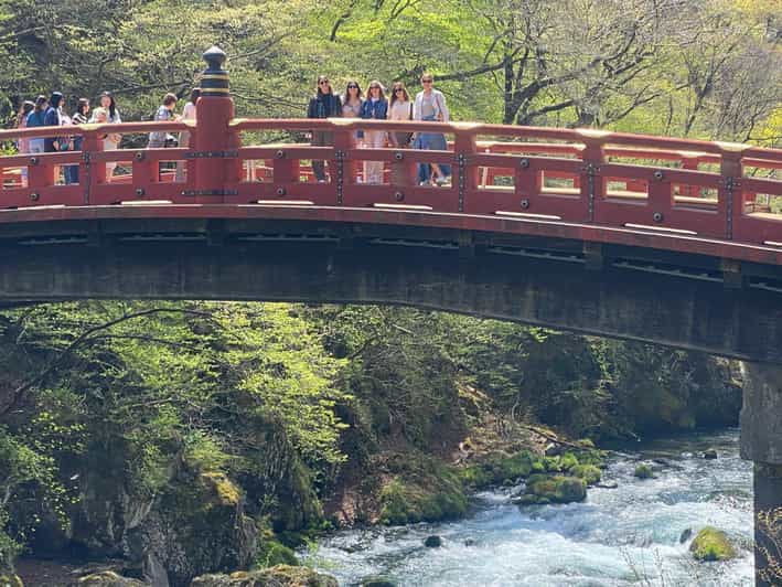 Tokyo: Nikko World Heritage Private Tour By English Guide - Customization Options