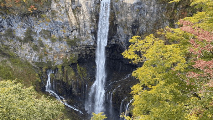 Tokyo: Nikko World Heritage Private Tour By English Guide - Important Considerations