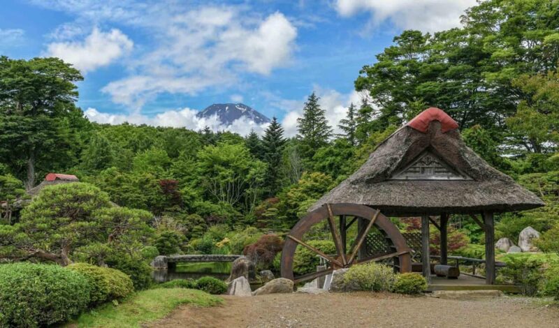 Tokyo: Private Mount Fuji Tour With Pickup and Drop-Off - Participant Information