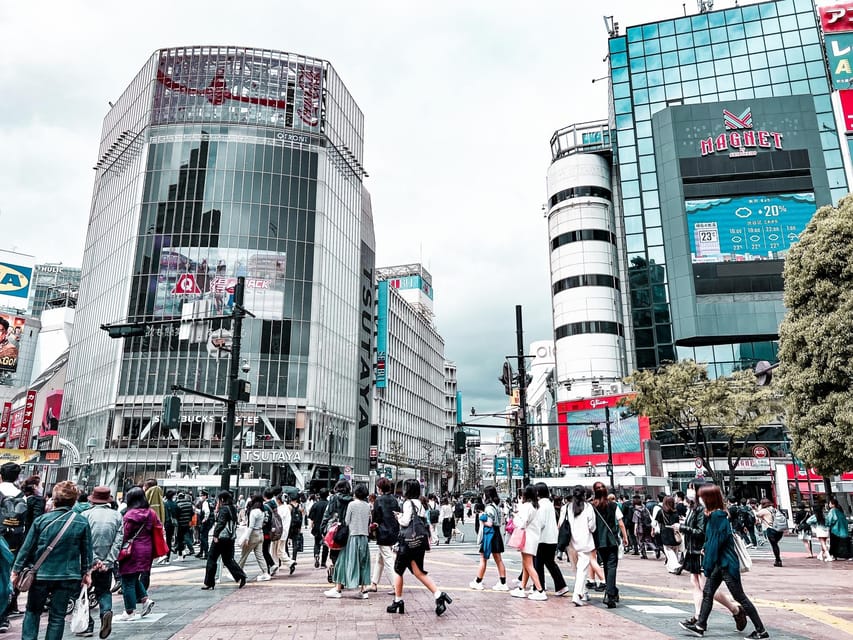 Tokyo: Shibuya Walking Tour With Crossing & Hachiko Statue - Tour Experience