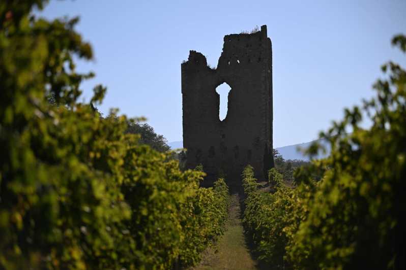 Torre Raone: the Tradition of the Vineyards - Suitability and Recommendations