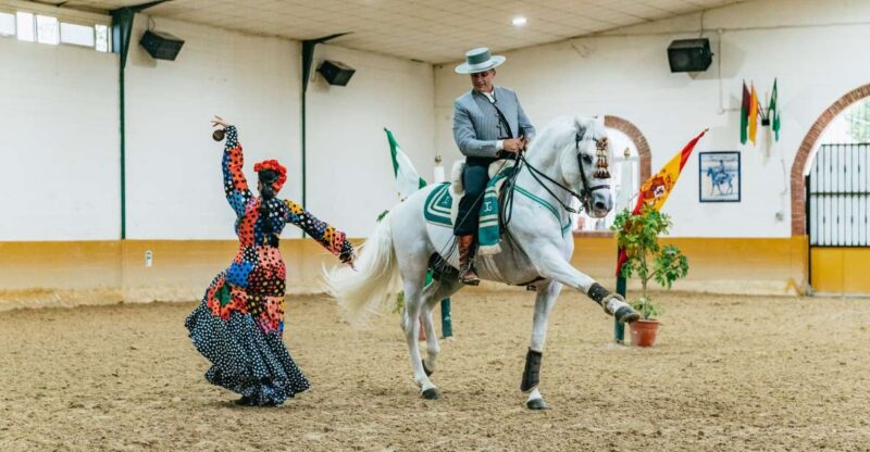 Torremolinos: Horse Show, Dinner Option, Drinks, & Flamenco - Flamenco Show and Dinner