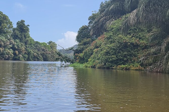 Tortuguero One Day. Private Tour From San Jose - Inclusions and Logistics
