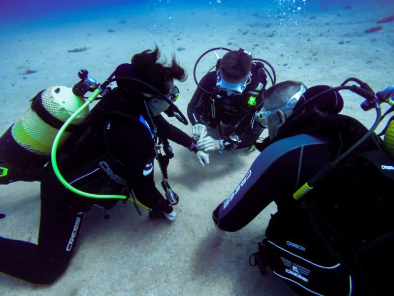 Tossa De Mar: Scuba Diving Experience for Beginners - Customer Feedback and Experiences