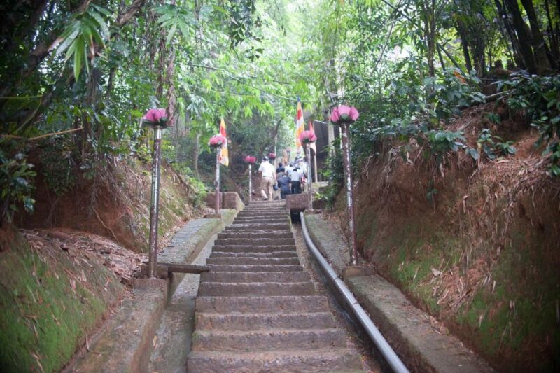 Tour to Duong Lam Village, Thay Pagoda, and Tay Phuong Pagoda - Inclusions of the Tour
