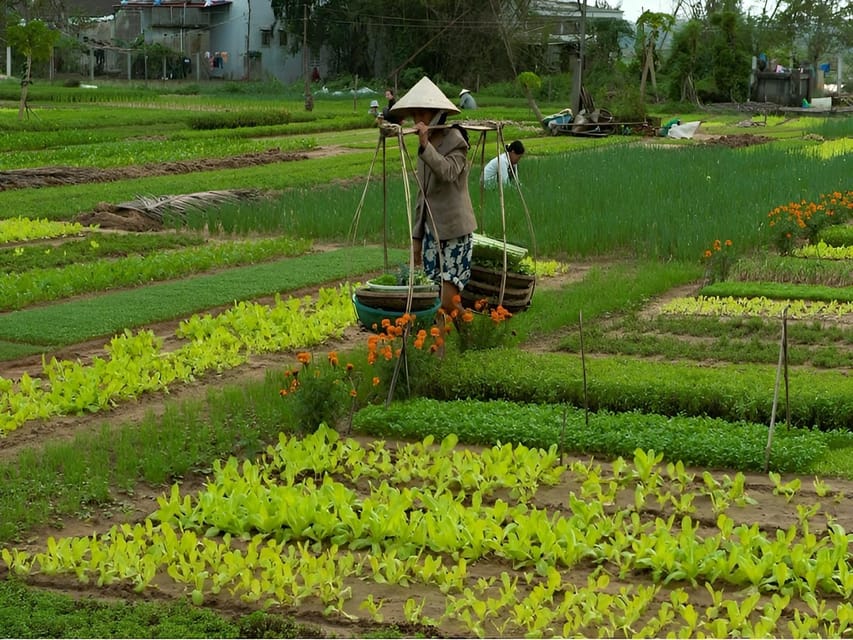 Tra Que Village Vegetable Farm Experience by Bike - Itinerary Highlights