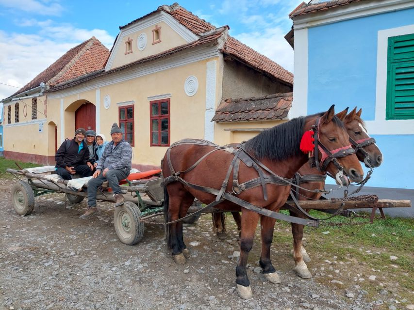 Transylvania Gems: Sighisoara, Medias, Biertan & Gypsy Life - Cultural and Historical Insights