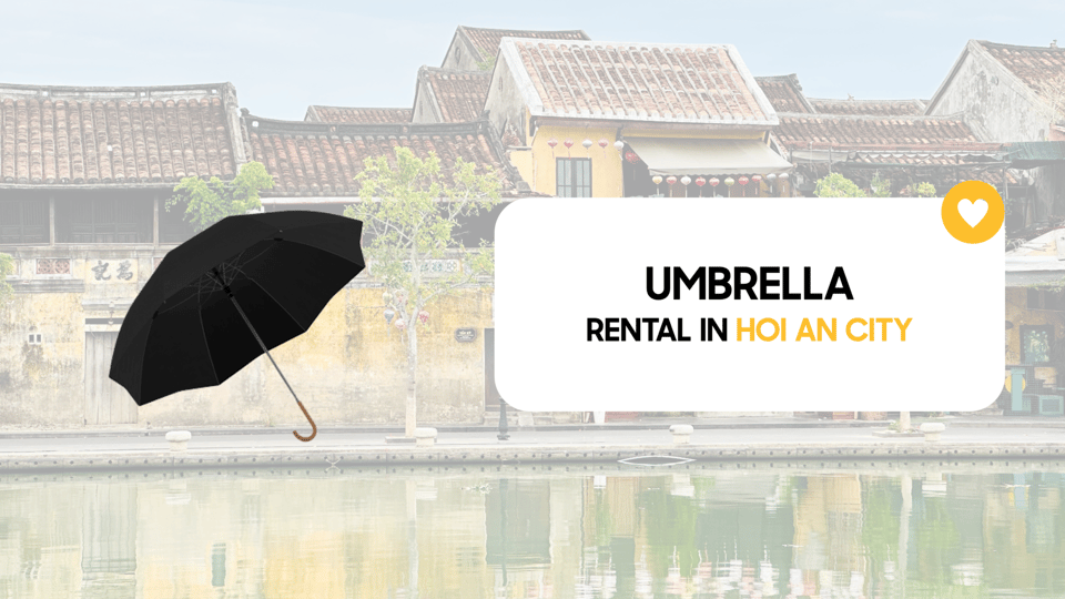 Travel Accessories: Baby Seat, Umbrella, Wheelchair in HoiAn - Additional Tips