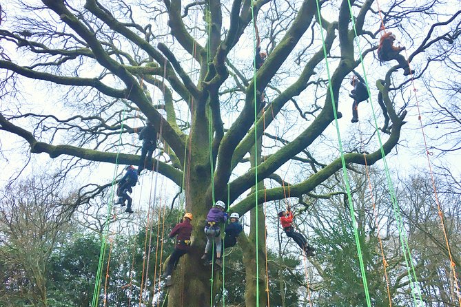 Tree Climbing Taster Session - Instructor and Group Experience