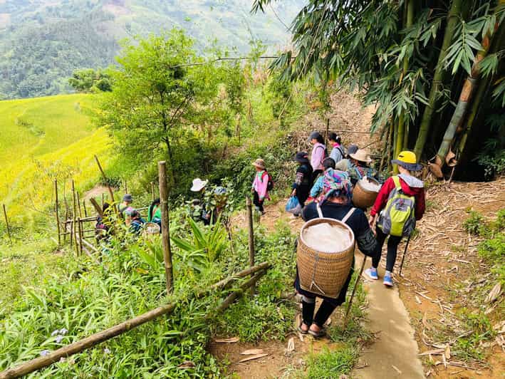 Trekking Sapa 1 Day - the Best Terraced Rice Field - Experience Highlights