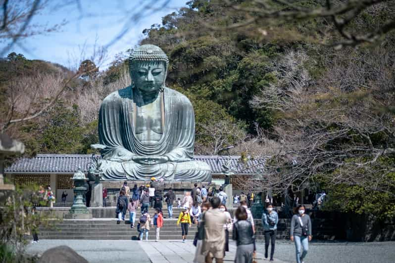 Trip to Kamakura & Enoshima: Shrines, Seaside, Temples &Tea - Transport and Accessibility