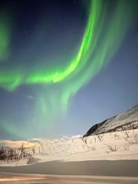 Tromso: Aurora Tour Hygge Magic Experience.(Wifi Free) - Booking Process