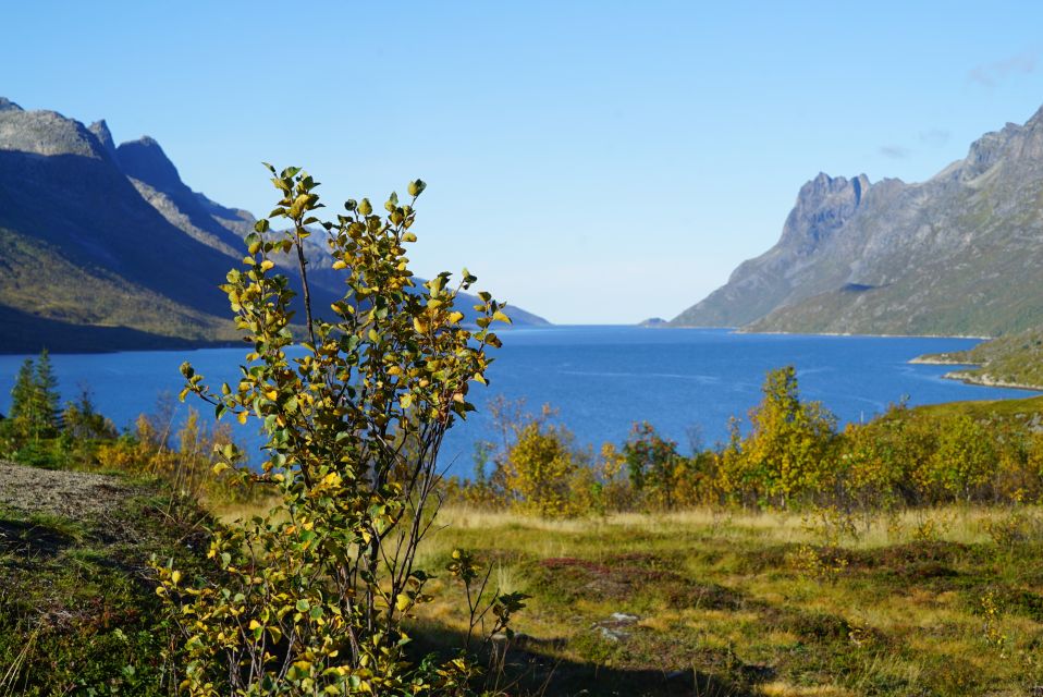 Tromsø: Fjord Sightseeing in a Tesla X Luxury Electric Car - Exploring the Stunning Fjords