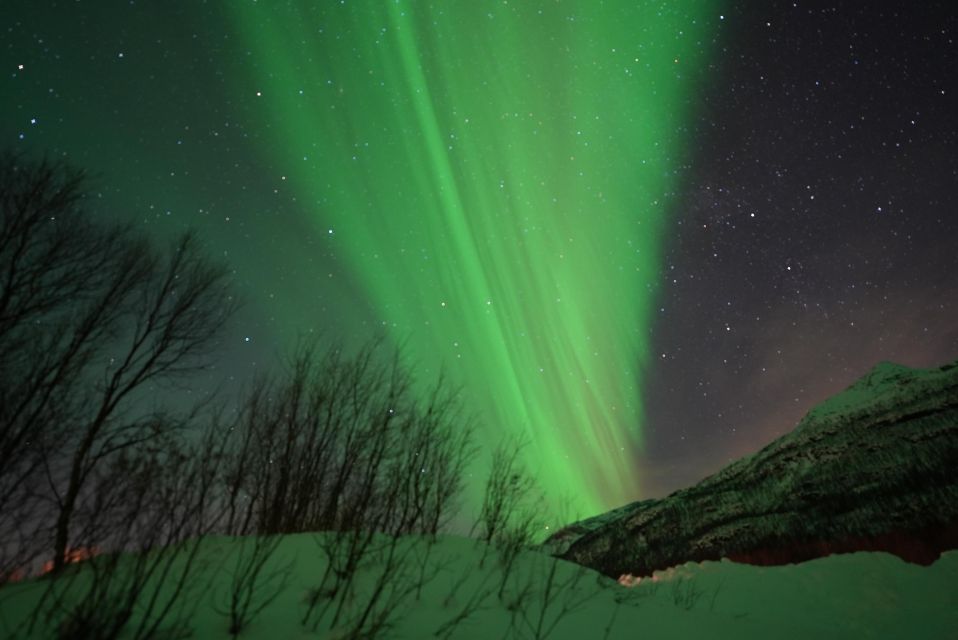 Tromsø: Guided Tours to See the Northern Lights: - Northern Lights Viewing Tips