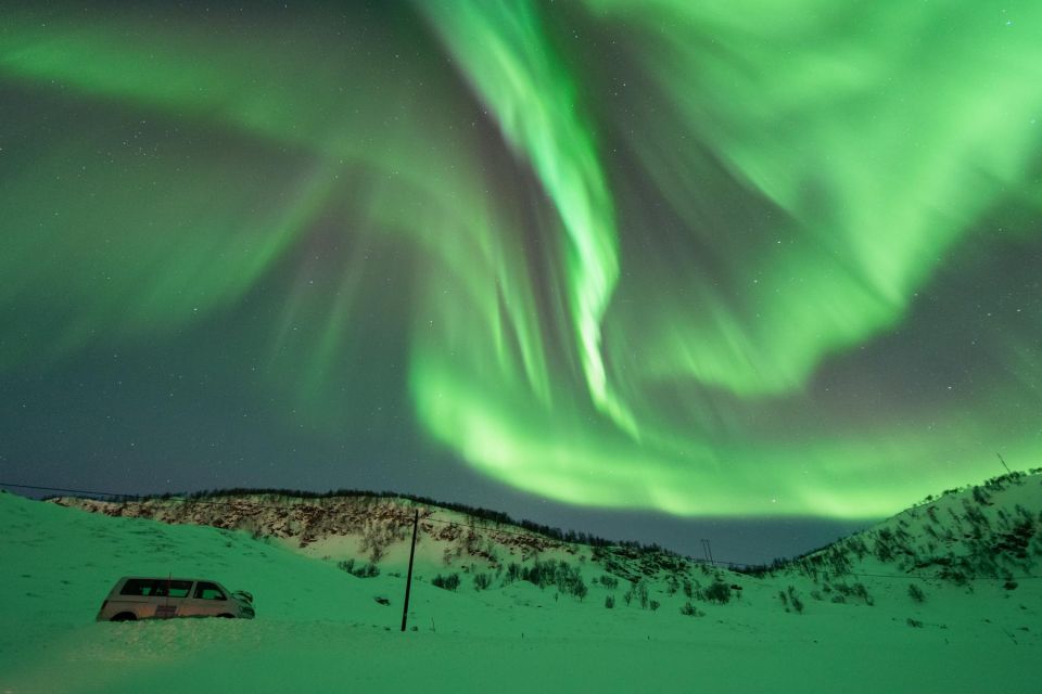 Tromsø: Northern Lights Hunt With Photos and Hot Food - Tour Logistics and Details